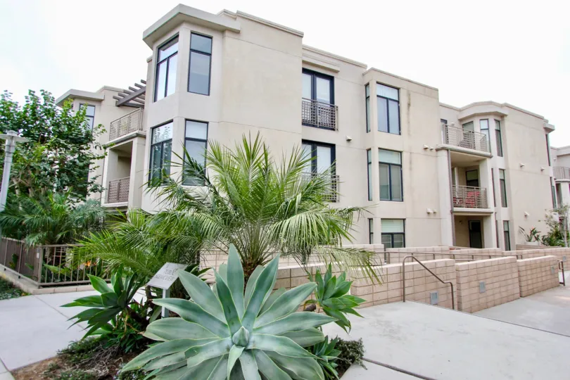 Cluster of green plants near condos inside Seahaus in La Jolla CA