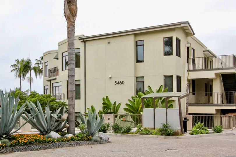 A three-storey townhouse with large plants and modern terraces in Seahaus community.