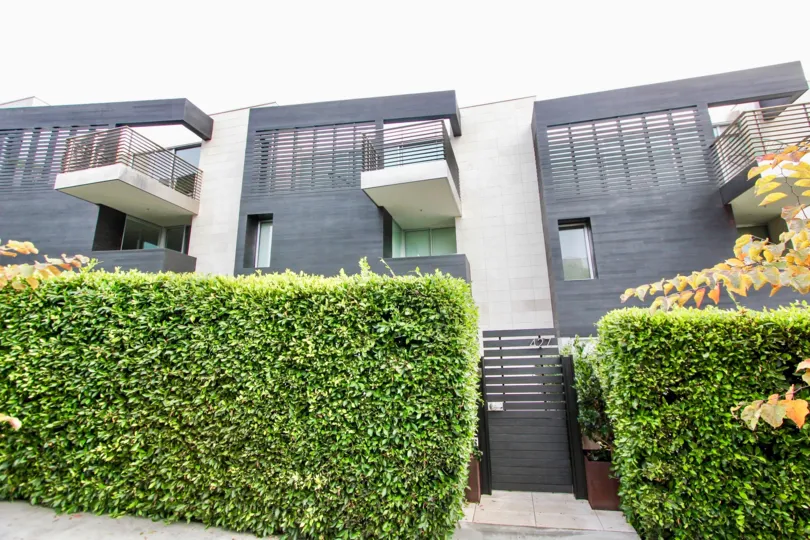 A black wood gate between shrubs at Six By Sebastian Mariscal in La Jolla CA