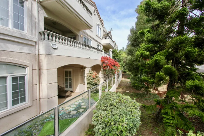 Villa in St Tropez has trees and plants with flowers apart from the glass wall