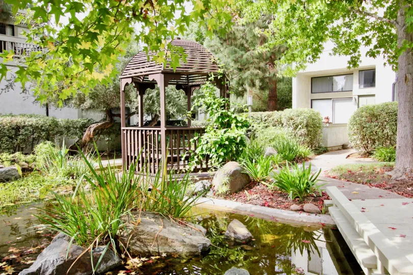 A short pond in the Woodlands with plants and rocks at the backside of the villa