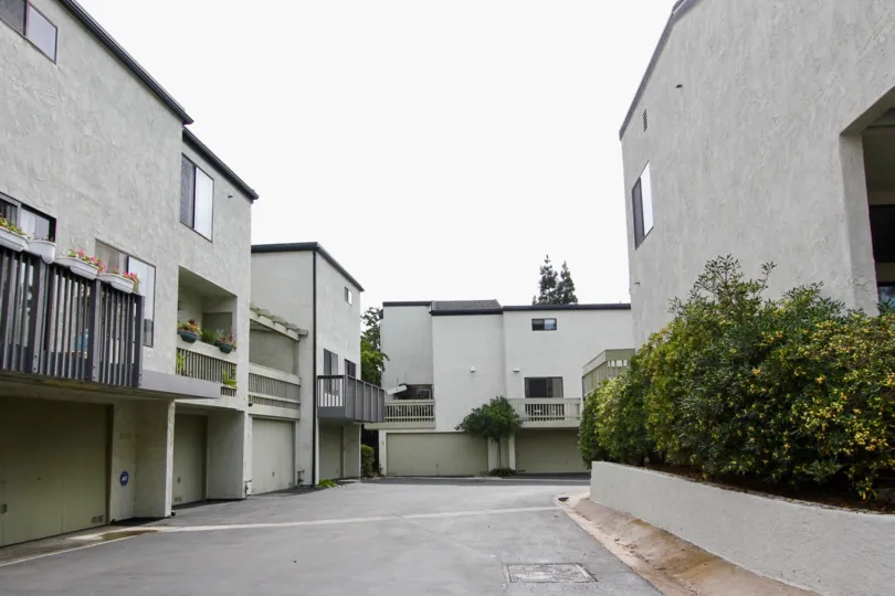 Ample spaced road with garage of The Woodlands with indoor plants.