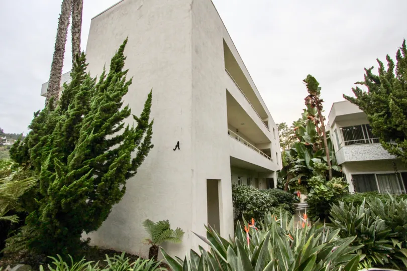 Villa in the city La Jolla is surrounded by trees and bushes
