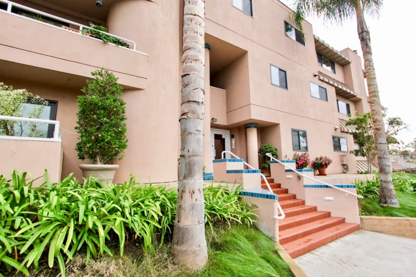 Two palms surrounding a stairway at Villa Italia in La Jolla CA