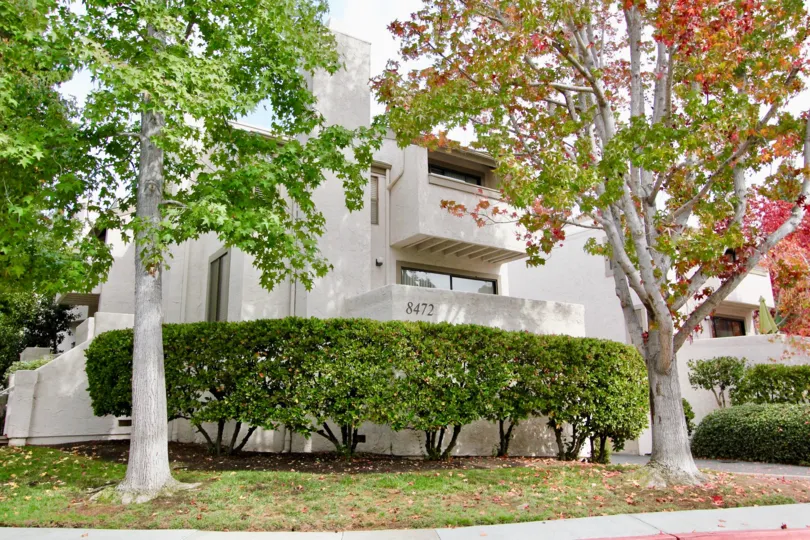 Gorgeous trees and bushes located at Woodlands West II