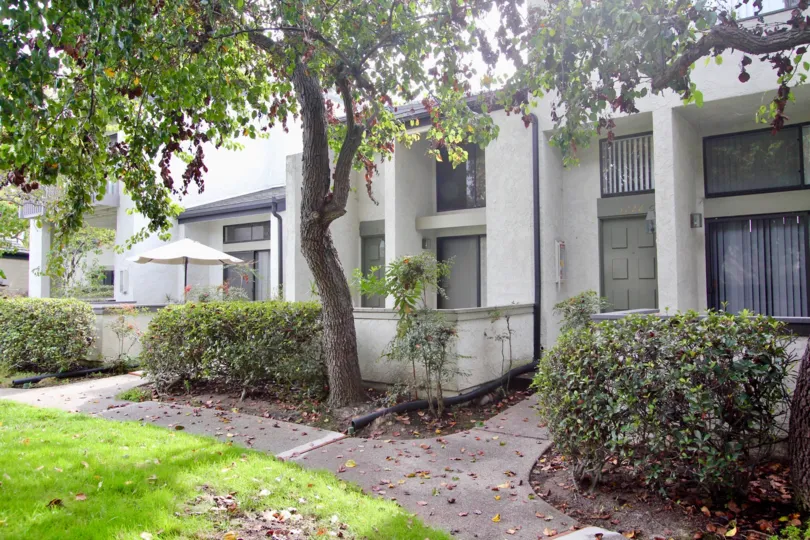 Walkway with a tree and building in the Woodlands Community in La Jolta, CA.