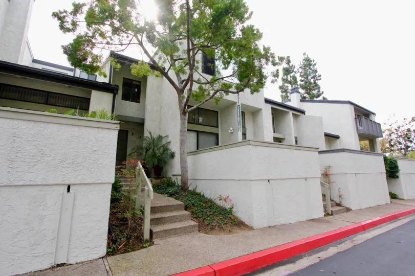 Another beautiful view of the woodlands community in la Jolla California