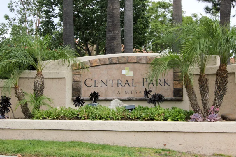 A SUNNY DAY IN THE CENTRAL PARK LA MESA PARK WITH SOME OTHER PLANTS AND TREES