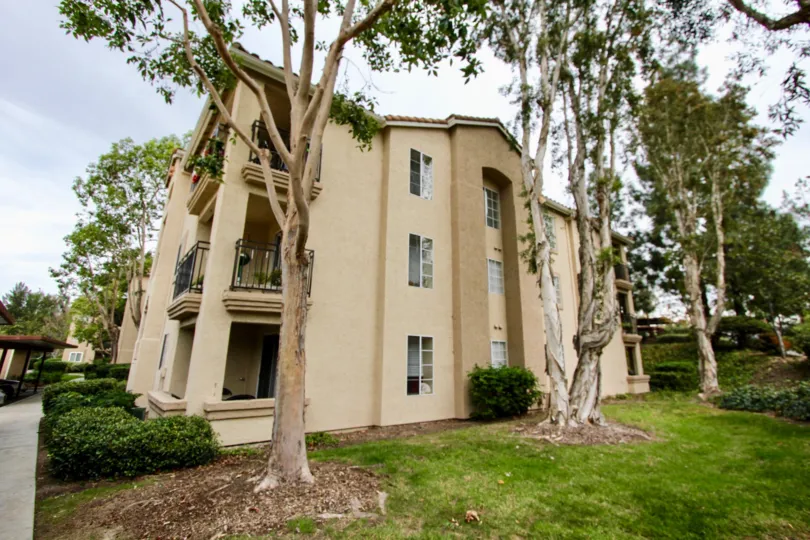 There are number of trees in front of the building Central Park La Mesa