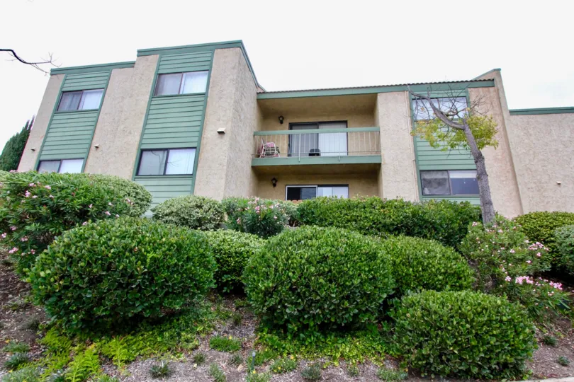 A sunny day in the area of Cypress Plaza, bushes, condos, balcony, trees, outside, window