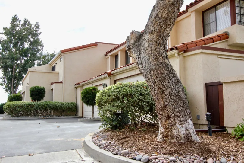 The front end of Daybreak with a large tree and few plants
