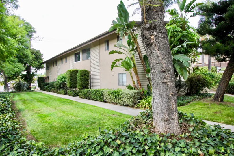 A day in the Grossmont Village with residential apartment and trees.