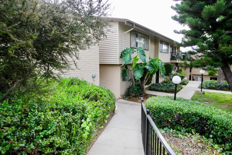 THE HOUSE IN THE GROSSMONT VILLAGE WITH THE BULP, GRASS, TREE, PLANTS
