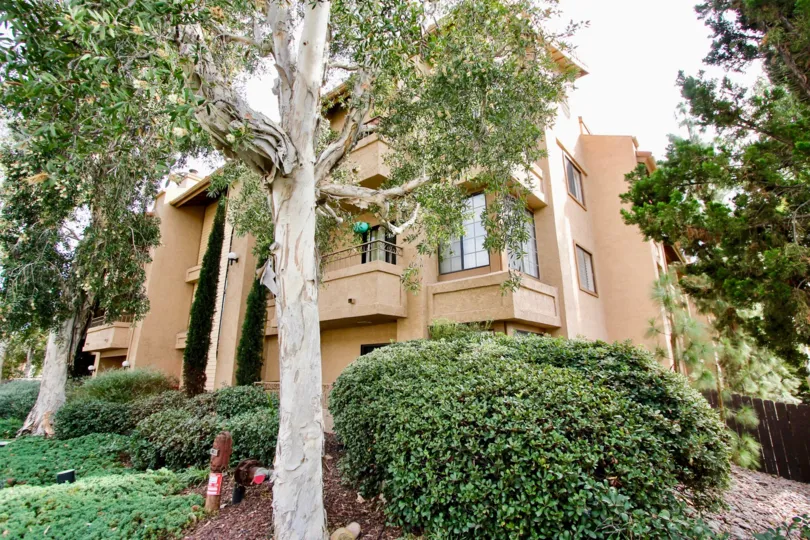 Corner side view with trees Lake Park Way Terrace community, Le Mesa, CA