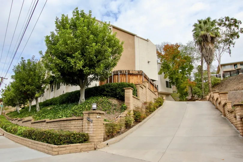 A long gray driveway with palms and trees at the end of it inside Marengo Court in La Mesa CA