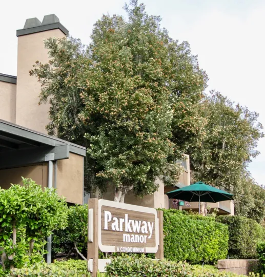A sunny day in the area of Parkway Manor, condo, cars, parking area, tree