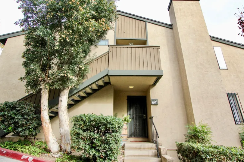 THE 60 APARTMENT IN THE PARKWAY MANOR WITH THE UPSTAIRS, PLANTS, TREES, DOOR