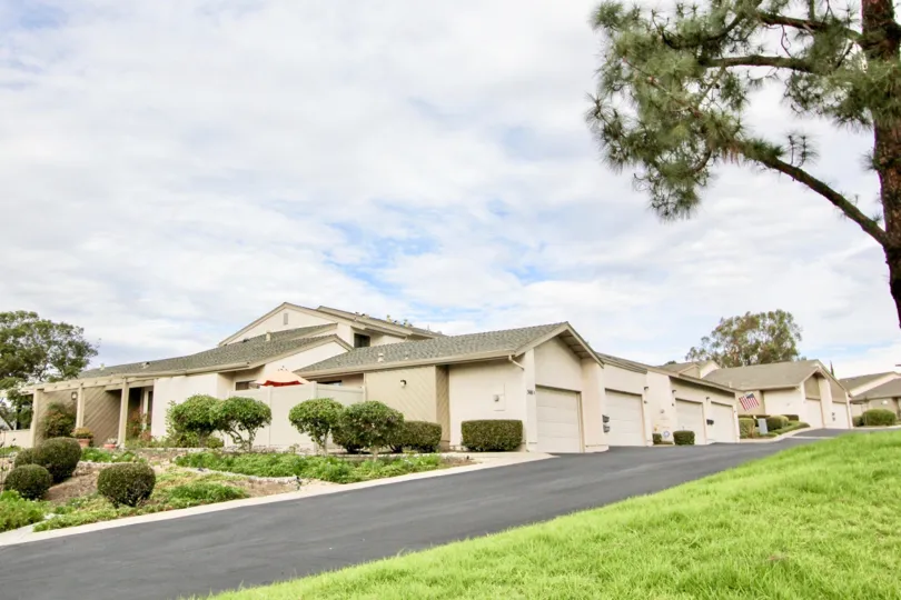 The Smoke Tree with long road and lush green grass on sides