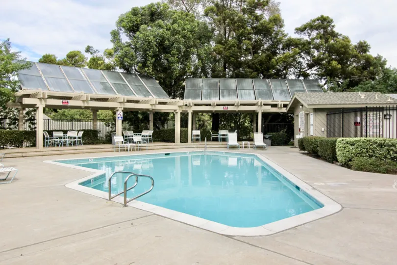 swimming pool of Smoke Tree resort in the city of la messa