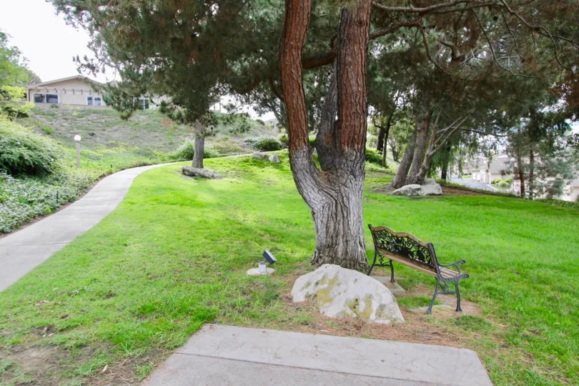 The Smoke Tree narrow road with lush green grass on both sides