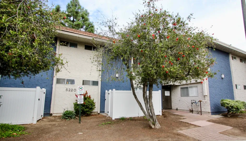 a building in back with dirt ground in front with trees with red flowers on them