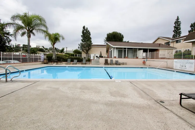 A sunny day poolside in the area of Westwood Village, palm trees, beach chairs, pool house, condos