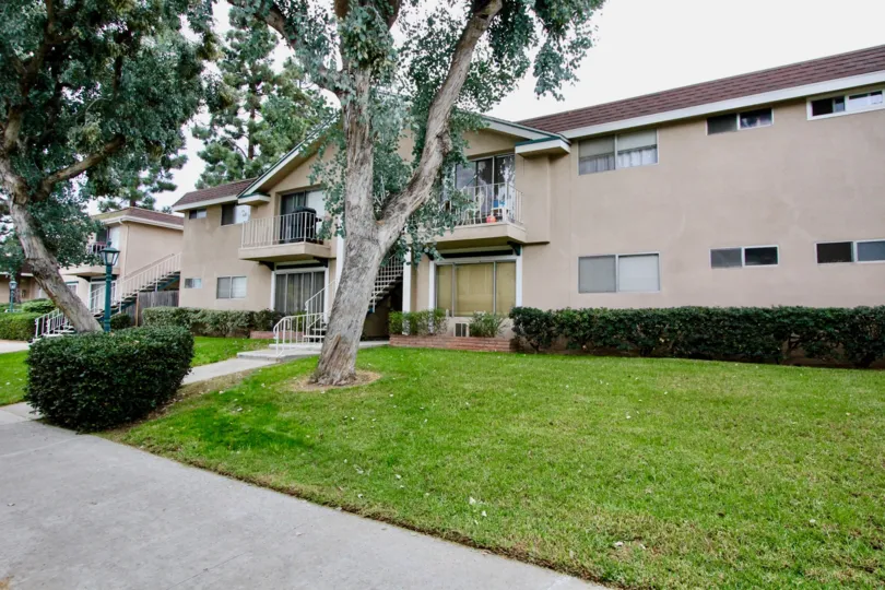 A sunny day in the Westwood Village with residential building and trees.
