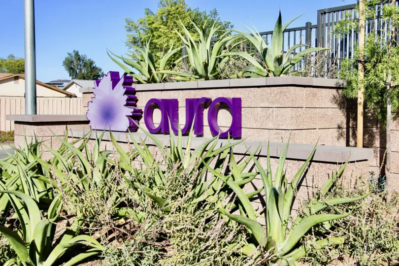 : Aura   Mira Mesa   California,name,purple,plants