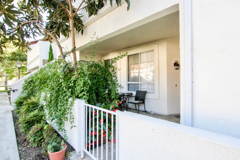 Canyon Bluffs  , Mira Mesa  , California,trees,plants