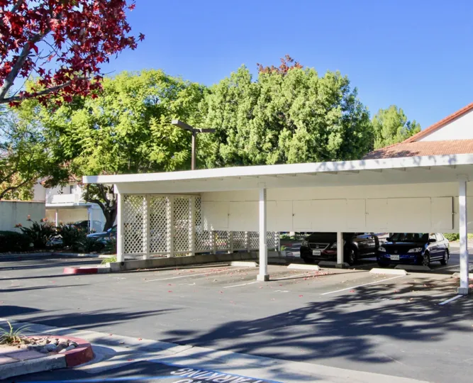 A sunny day with a bus bay surrounded with colourful trees in Canyon Bluffs of Mira Mesa