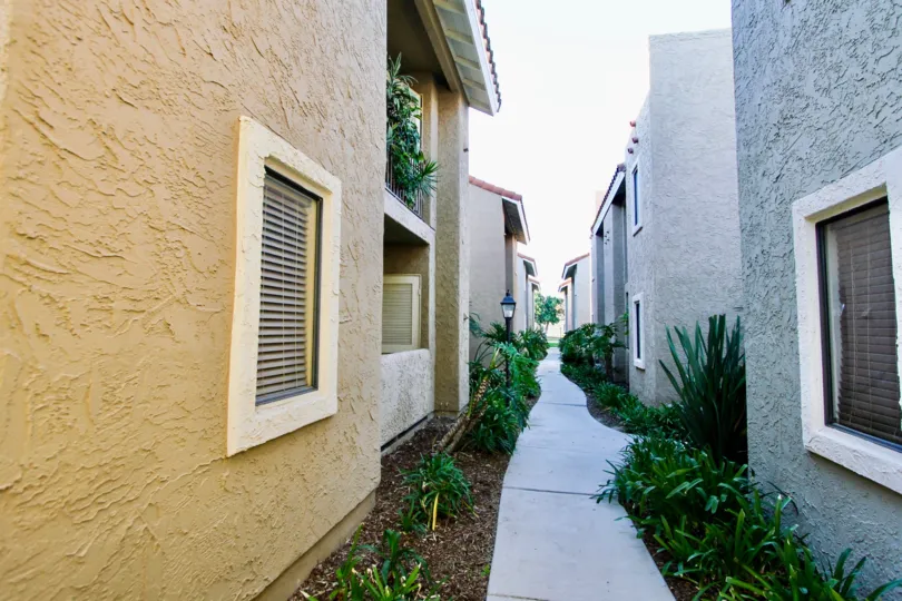 A narrow alley in between buildings with bushes in Jade Coast