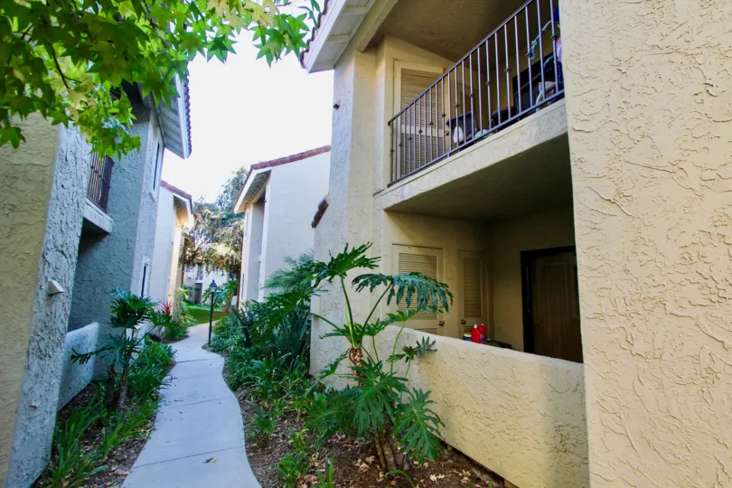 The pathway between the apartments in Jade Coast full of meadow with plants and bushes
