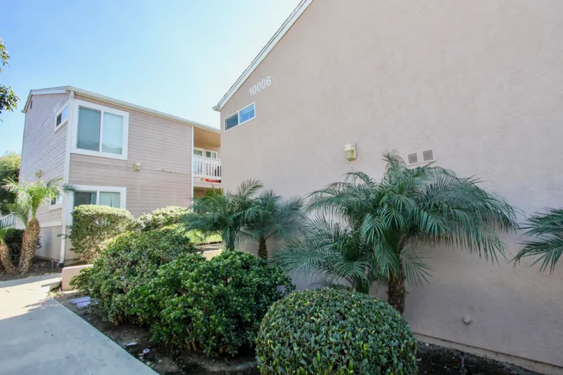 Mirabella Point  ,: Mira Mesa  , California,blue sky, plants