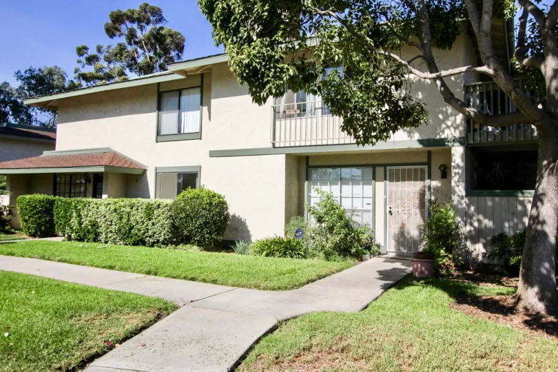 A sunny day in the area of Quest, outside, sidewalk, door, patio, grass, windows