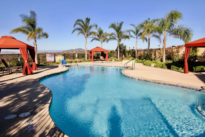 The luxurious poolside view with palm trees of Sorrento Terrace