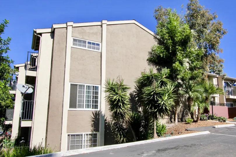 A Bright Sunny Day with green trees outside a House with road point in WIndsor Park with Mira Mesa