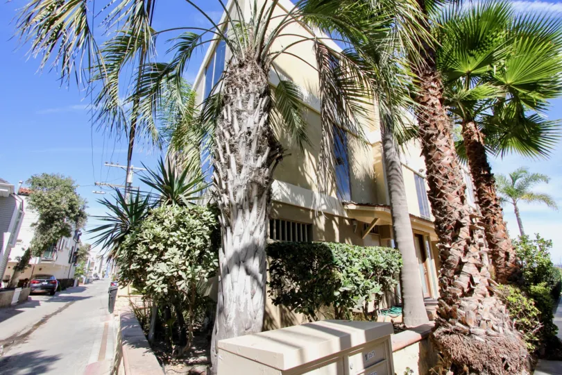 Plenty of shade trees and greenery in this quiet corner of the Carmel Villas community in Mission Beach, California