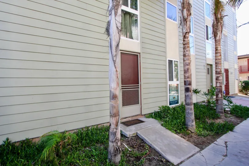 A sunny day in the area of Franklin Shores, outside, palm trees, sidewalk, door, window