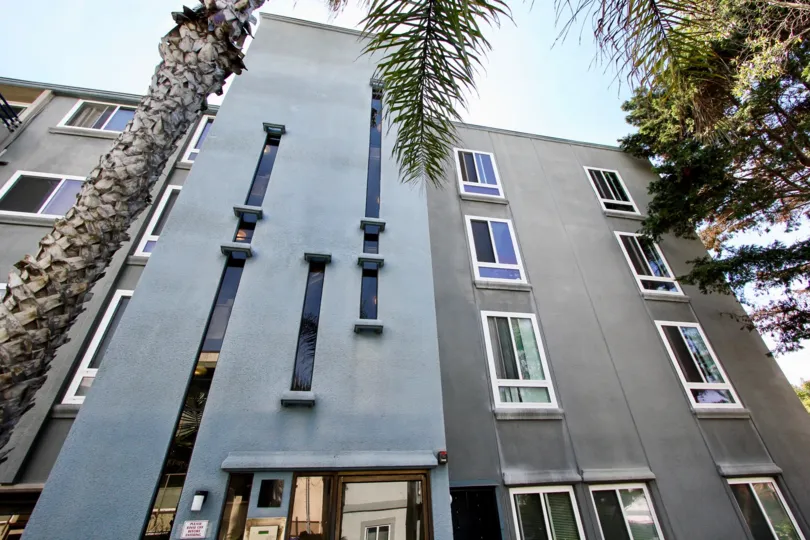 A modern building complex next to beautiful trees on a sunny day.