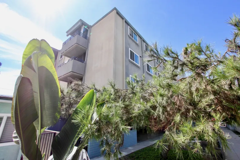 Side by side stair building and individual house in Mission Beach Towers Mission Beach CA.