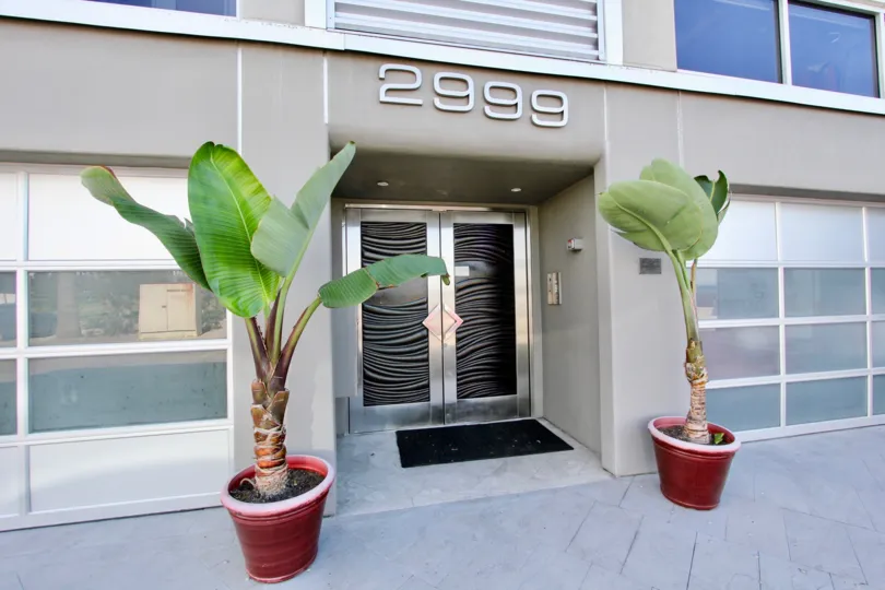The welcoming entryway with potted palms at South Beach.
