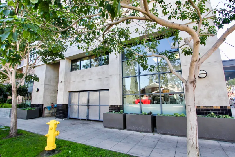 Building fron tin Mission Hills, California. Patio with succulent planters and trees. Yellow fire hydrant out front. Tall windows.