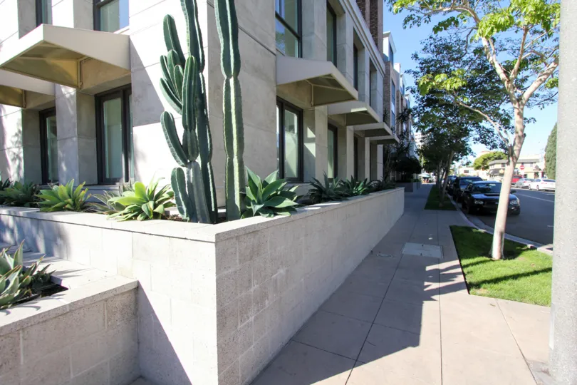 An apartment building with some cacti during a sunny day in 1Mission, Mission Hills, CA