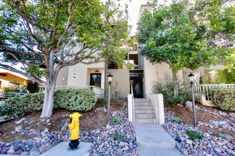 Rocks, trees and light lamps is placed both sides in the entrance of the house