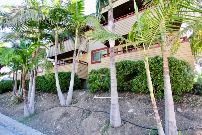 An apartment building with a row of palm trees and bushes in front during a sunny day in 4055 Falcon, Mission Hills, CA