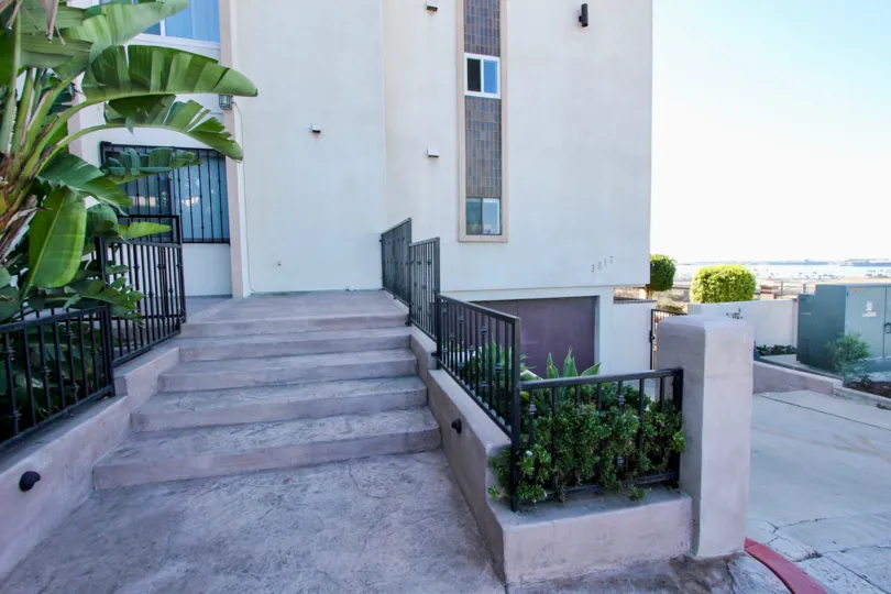 Stairs of the apartment in the Columbia Heights has bushes and plants on the two sides