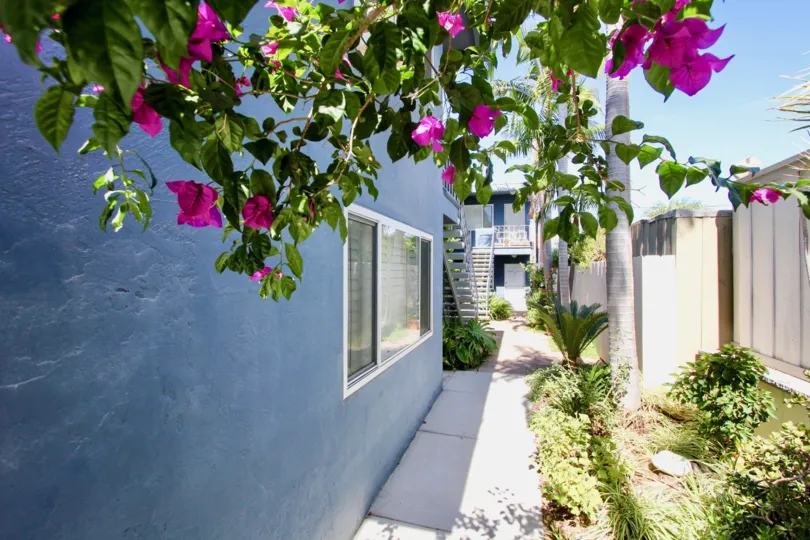 The side of a house with a pathway, some bushes and trees during a sunny day in Essex Manor, Mission Hills, CA
