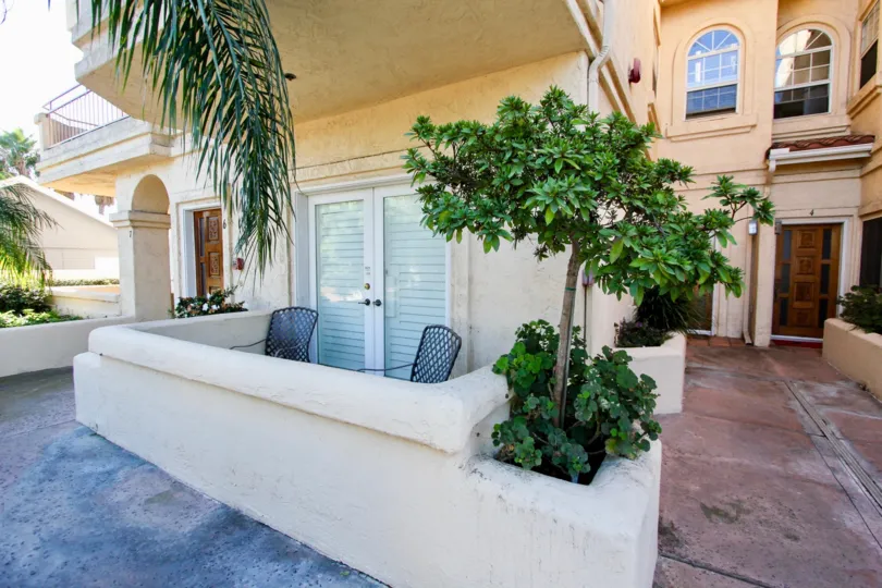 A sunny day in the area of Lewiston Condominiums, balcony, palm tree, condo