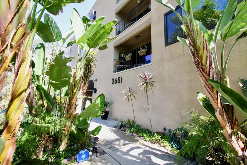 View of a residence with balconies and a lot plants in its patio in the Maplefront