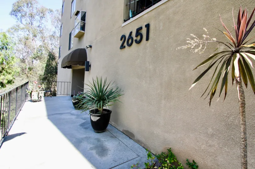 Potted plants lining the entryway to Maplefront in Mission Hills, CA